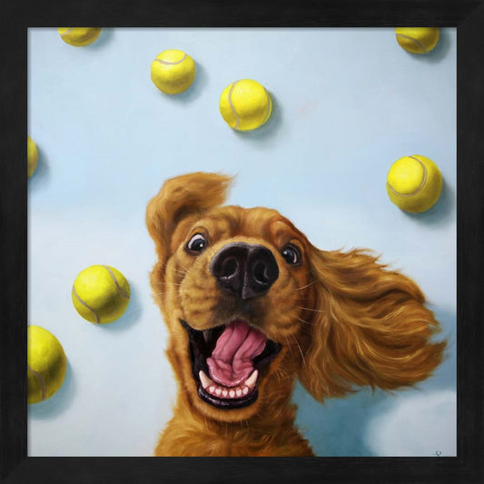 Ball Boy by Lucia Heffernan, Framed Art