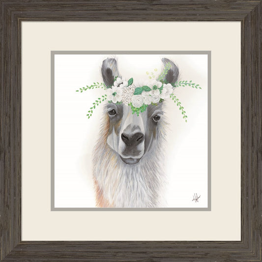 Floral Llama by Diane Fifer, Framed Art