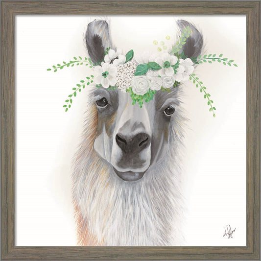 Floral Llama by Diane Fifer, Framed Art