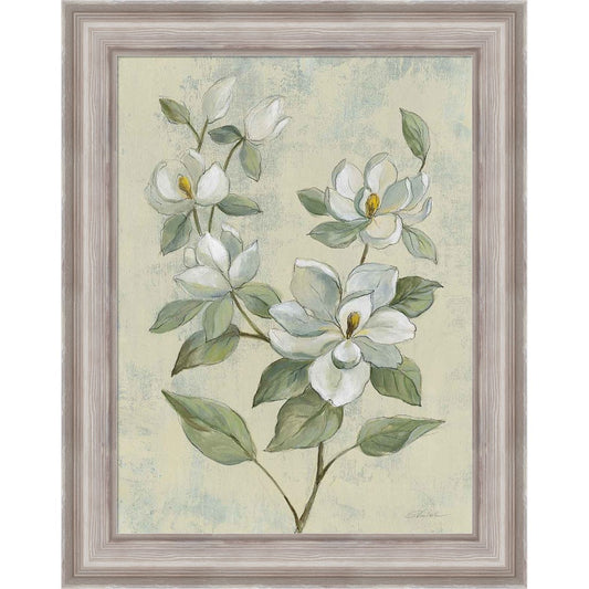 Sage Magnolia by Silvia Vassileva, Framed Art