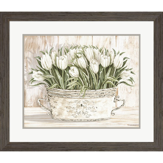 Tulips in White Chipped Pail by Cindy Jacobs, Framed Art