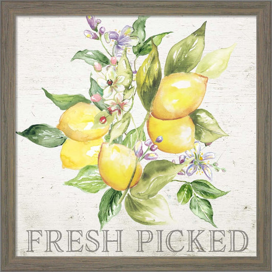 Lemon Grove III by Tre Sorelle Studios, Framed Art