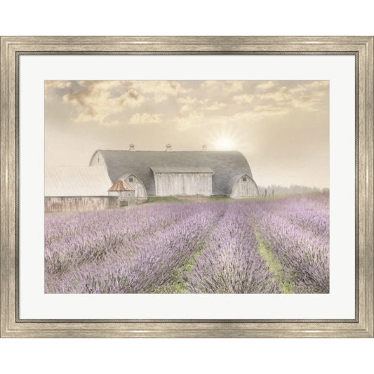 Lavender Morning by Lori Deiter, Framed Art