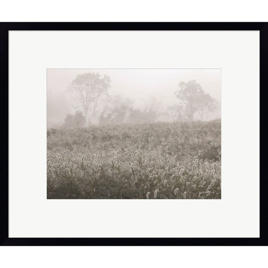 Dreamy Field by Lori Deiter, Framed Art