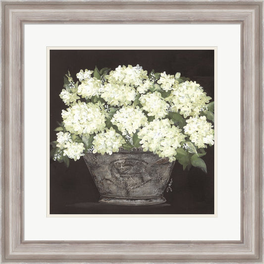 Snowball Hydrangea Pail by Julie Norkus, Framed Art