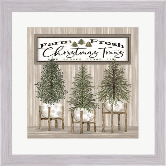 Potted Christmas Trees by Cindy Jacobs, Framed Art