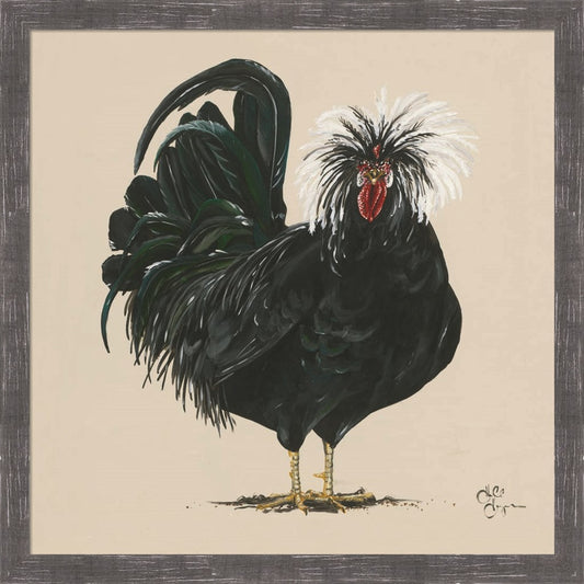 Chicken by Hollihocks Art, Framed Art