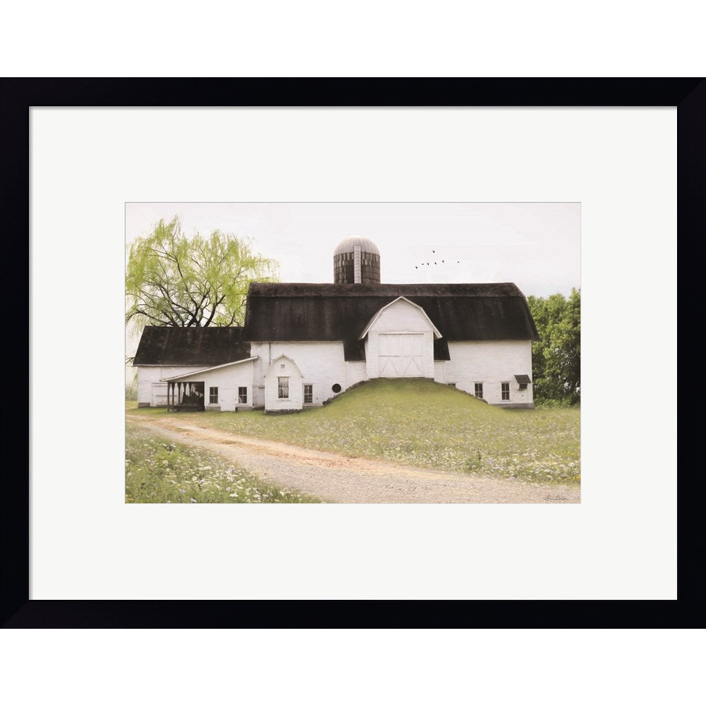 Big Country Barn by Lori Deiter, Framed Art