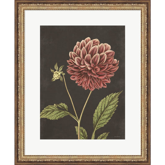 Dahlia by Lettered & Lined, Framed Art