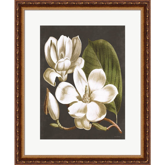 Magnolia by Lettered & Lined, Framed Art