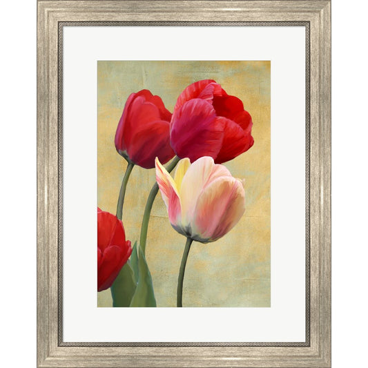 Ruby Tulips by Luca Villa, Framed Art