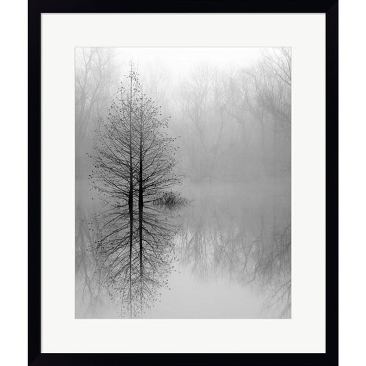 Lake Trees in Winter Fog by Nicholas Bell, Framed Art