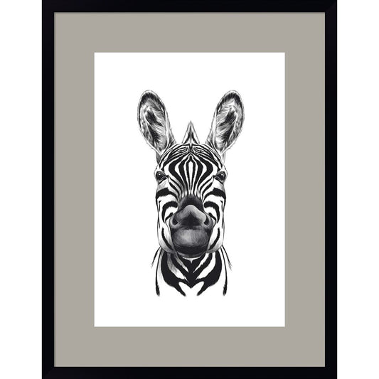 Zebra Illustration by Incado, Framed Art