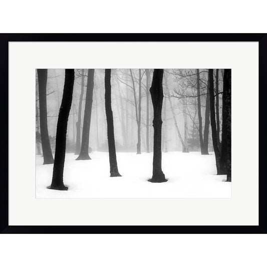 Winter Fog by Kelly Sinclair, Framed Art