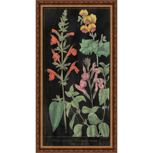 Salvia Florals I on Black by Wild Apple Portfolio, Framed Art