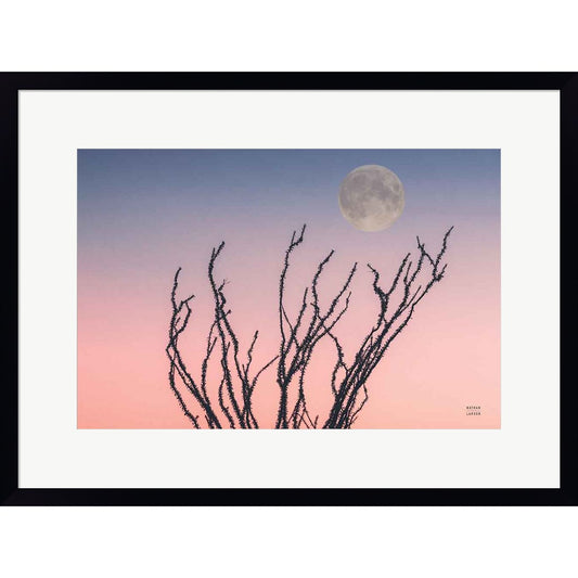 Reaching Up Moon by Nathan Larson, Framed Art