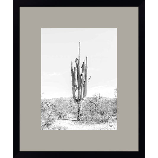 Standing Alone by Nathan Larson, Framed Art