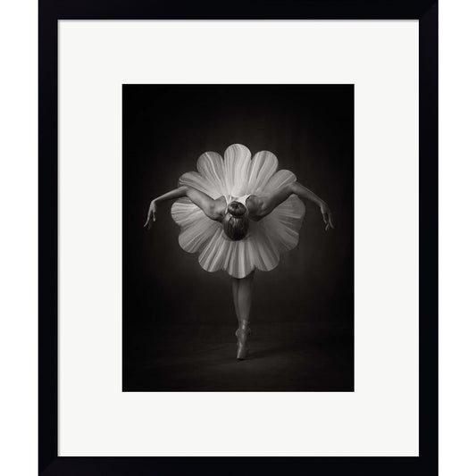 Floral Ballet by Catchlight Studio, Framed Art