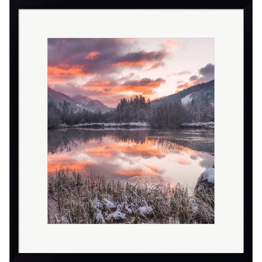 Zelenci Springs by Ales Krivec, Framed Art