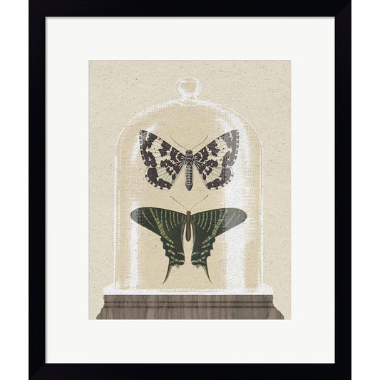 Cottage Butterflies II by Wild Apple Portfolio, Framed Art