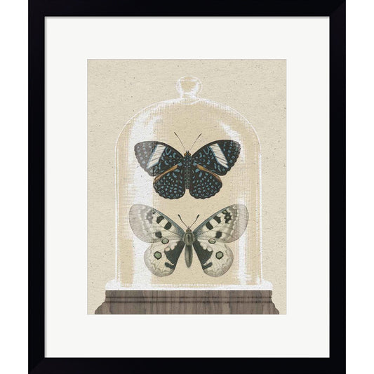 Cottage Butterflies I by Wild Apple Portfolio, Framed Art