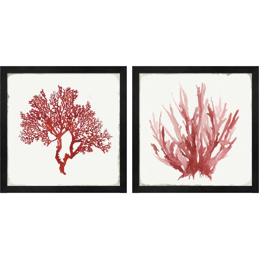 Red Coral A by Aimee Wilson, 2 Piece Black Framed Art Set