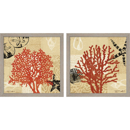 Coral Impressions by Tandi Venter, 2 Piece Rustic White Framed Art Set