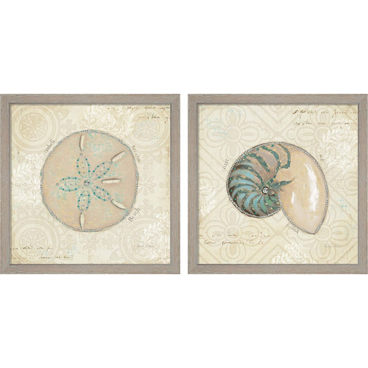 Beach Treasures by Emily Adams, 2 Piece Rustic White Framed Art Set