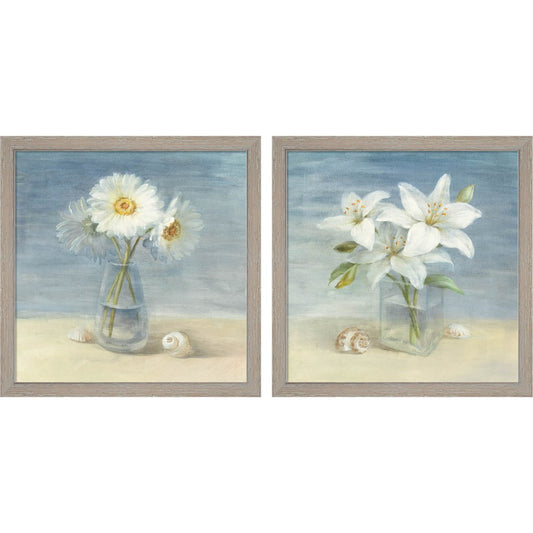 Daisies and Shells & Lilies and Shells by Danhui NAI, 2 Piece Rustic White Framed Art Set