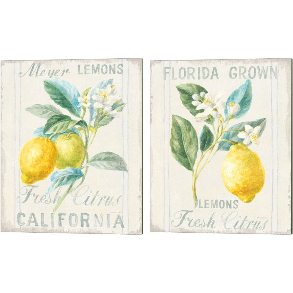 Floursack Lemon by Danhui NAI, 2 Piece Canvas Art Set