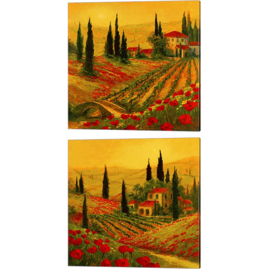 Poppies of Toscano by Art Fronckowiak, 2 Piece Canvas Art Set