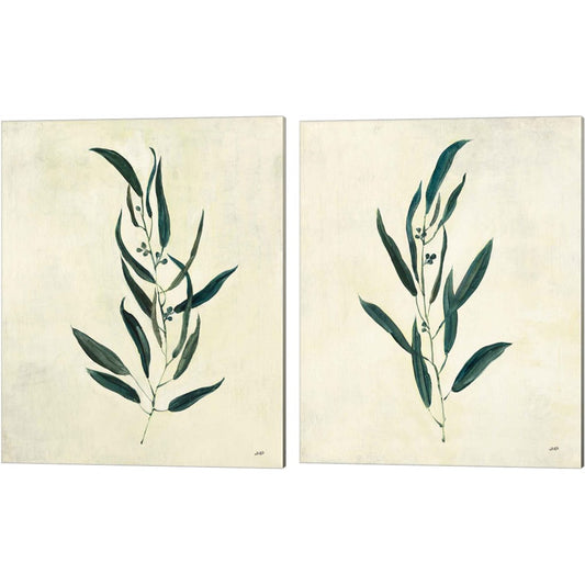 Botanical Study by Julia Purinton, 2 Piece Canvas Art Set