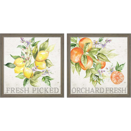 Lemon Grove by Tre Sorelle Studios, 2 Piece Rustic Grey Framed Art Set