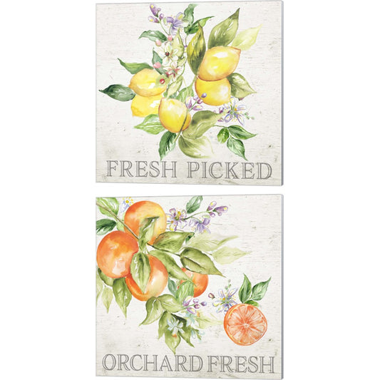 Lemon Grove by Tre Sorelle Studios, 2 Piece Canvas Art Set