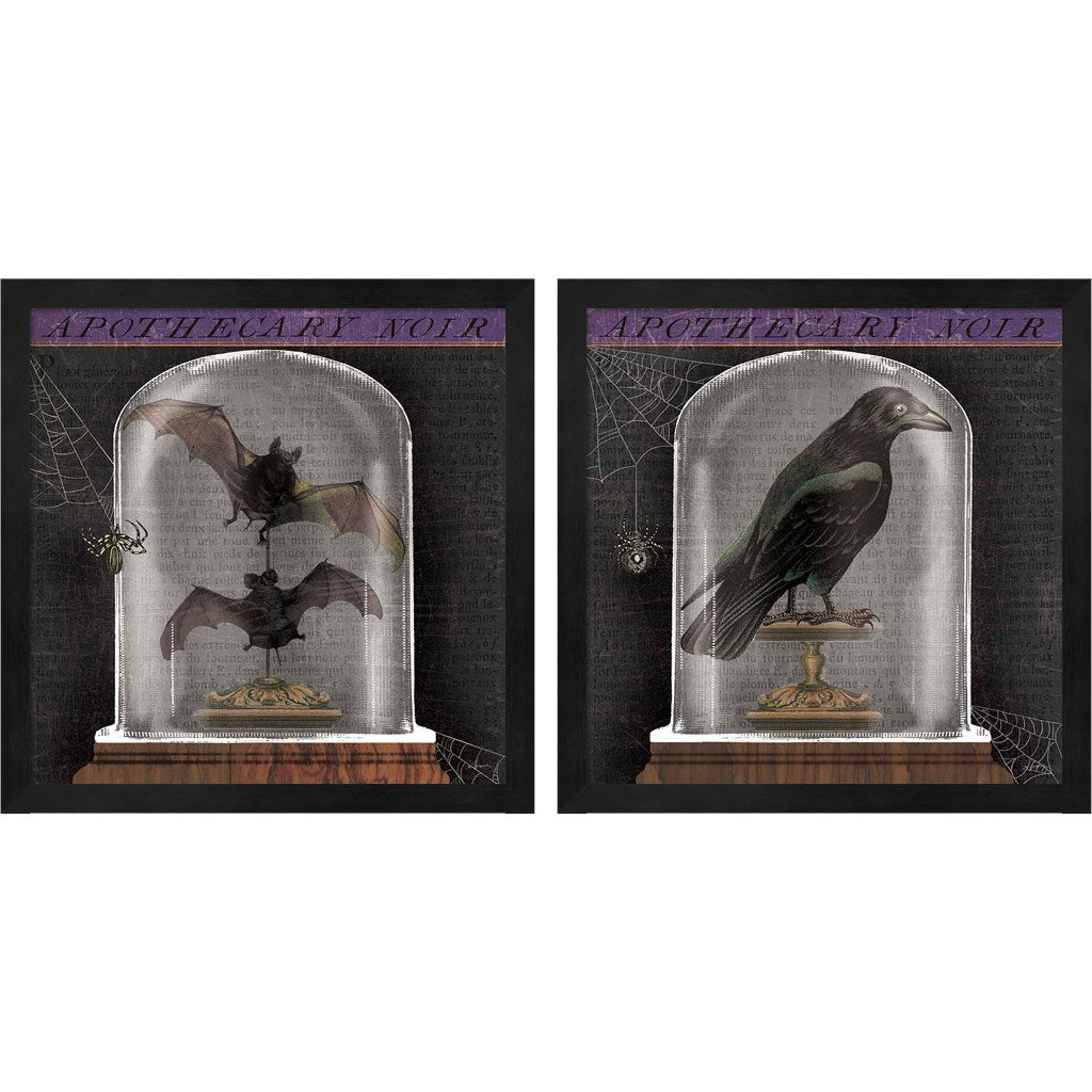 Apothecary Noir by Sue Schlabach, 2 Piece Black Framed Art Set