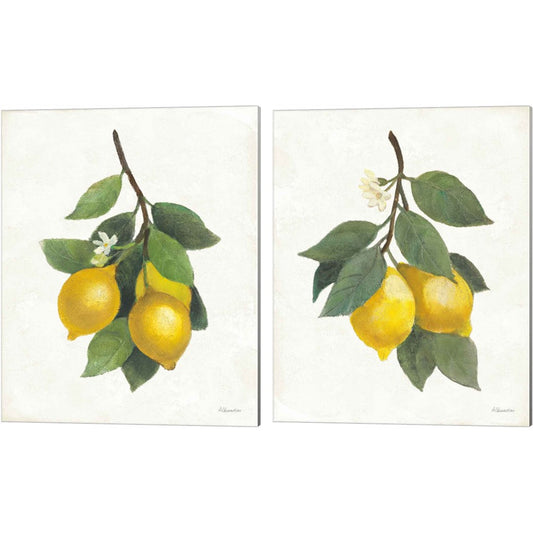 Lemon Branch by Albena Hristova, 2 Piece Canvas Art Set