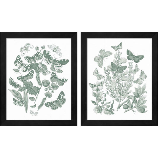 Butterfly Bouquet Sage by Wild Apple Portfolio, 2 Piece Black Framed Art Set