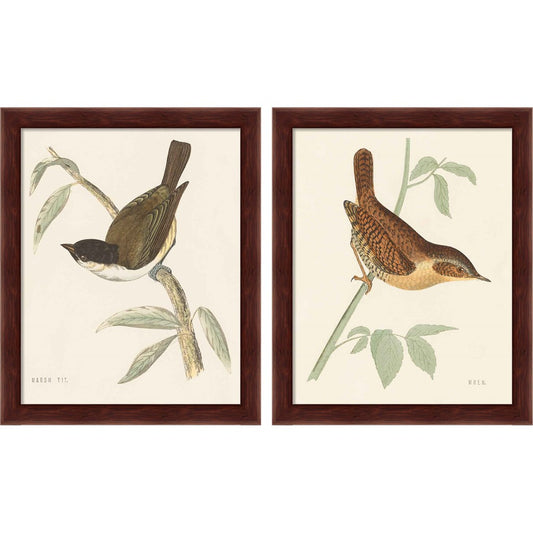 Engraved Birds by Wild Apple Portfolio, 2 Piece Brown Framed Art Set