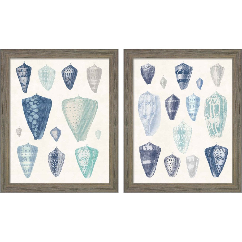 Blue Shell Assortment by Wild Apple Portfolio, 2 Piece Rustic Gray Framed Art Set