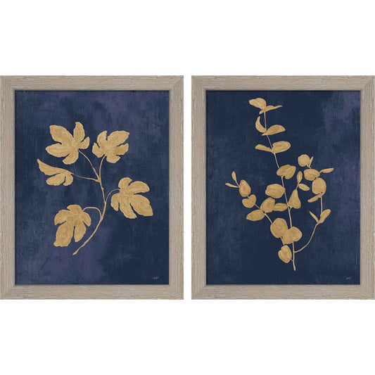 Botanical Study Gold Navy by Julia Purinton, 2 Piece Rustic White Framed Art Set