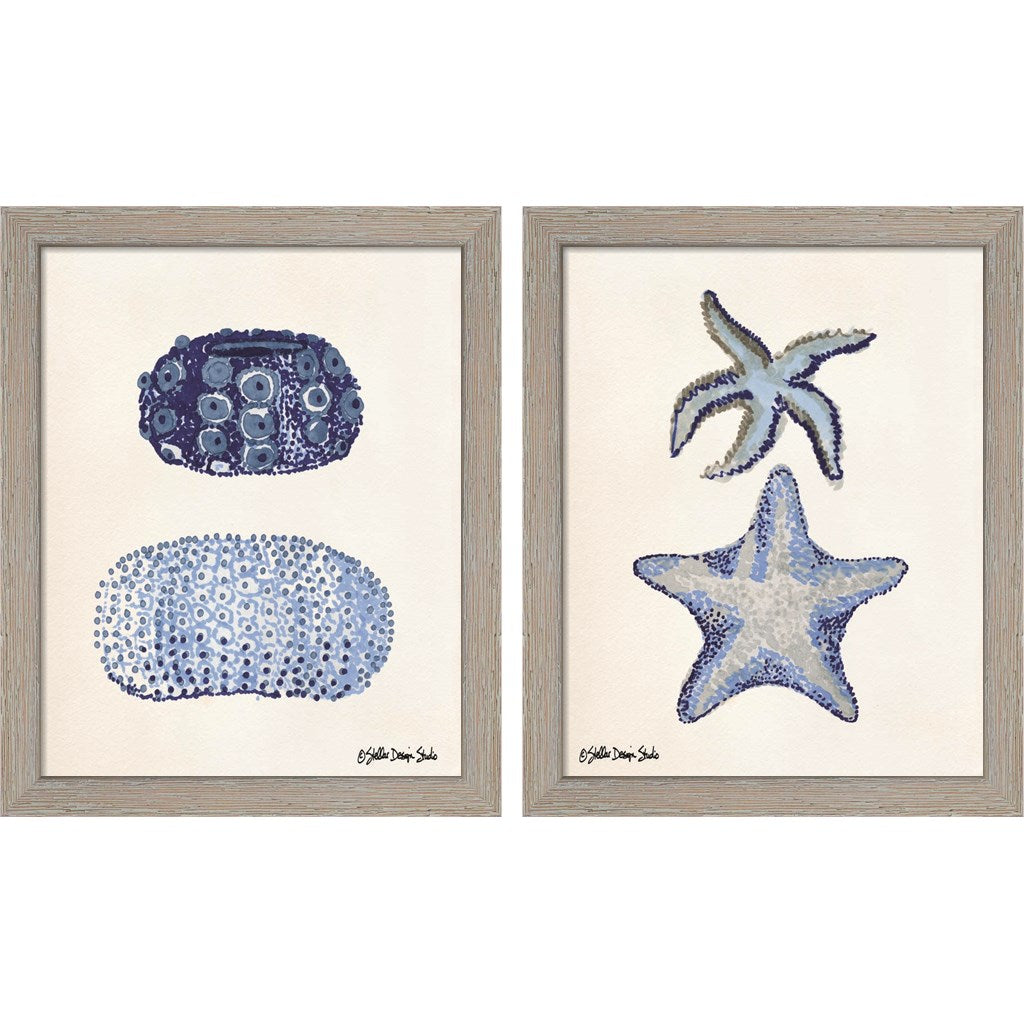 From the Sea by Stellar Design Studio, 2 Piece Rustic White Framed Art Set