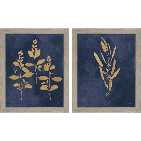 Botanical Study Gold Navy by Julia Purinton, 2 Piece Rustic White Framed Art Set