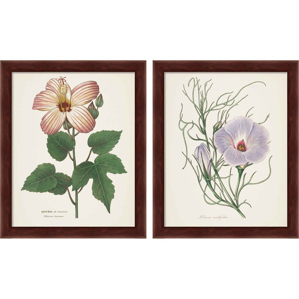 Antique Botanical Cream by Wild Apple Portfolio, 2 Piece Brown Framed Art Set