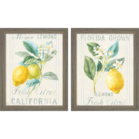 Floursack Lemon by Danhui Nai, 2 Piece Rustic Gray Framed Art Set