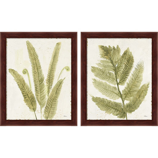 Forest Ferns Antique by Albena Hristova, 2 Piece Brown Framed Art Set