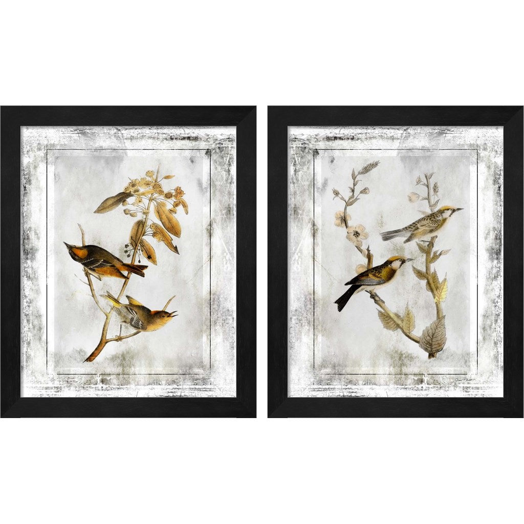 Birds With Class by Jean Plout, 2 Piece Black Framed Art Set