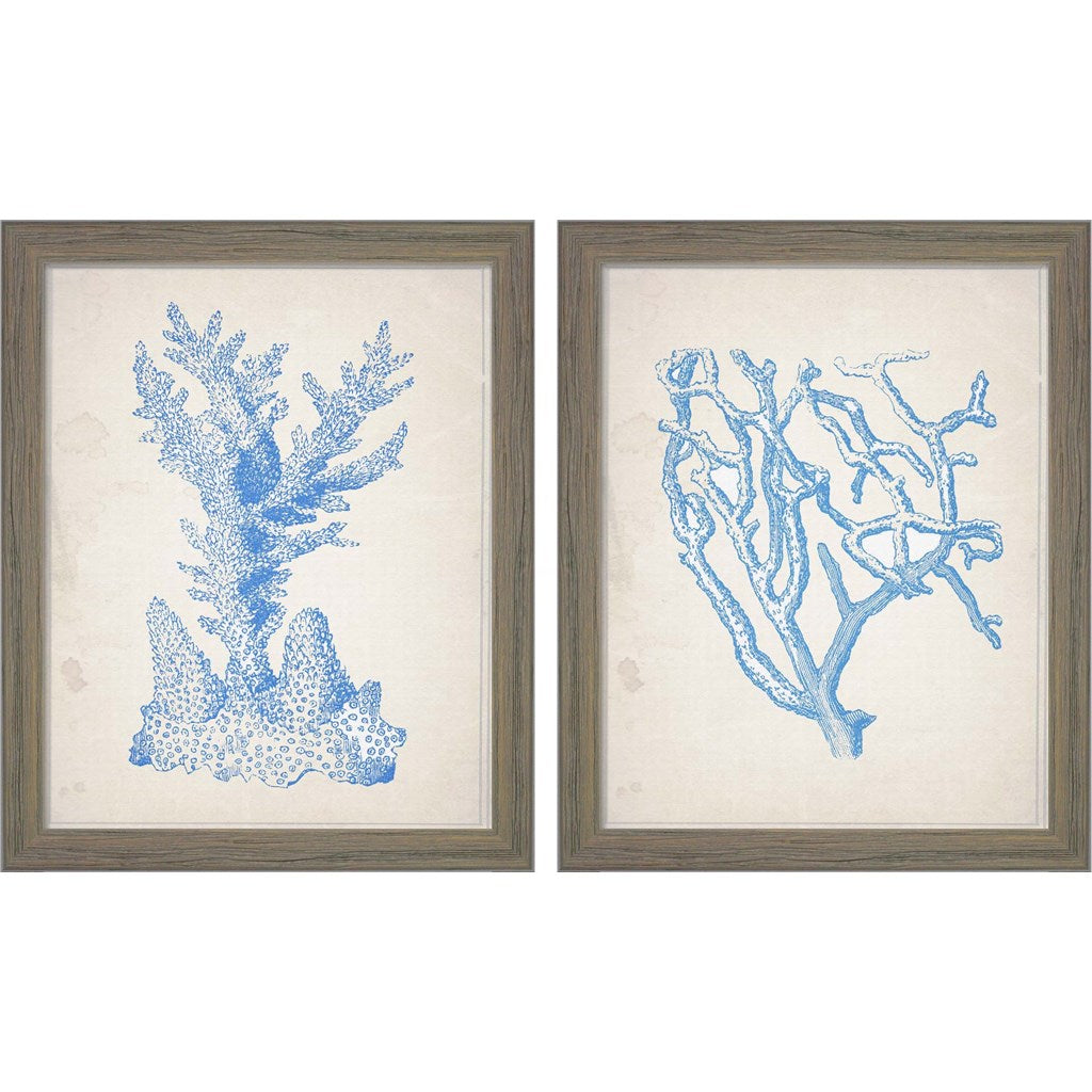 Blue Coral by Natasha Wescoat, 2 Piece Rustic Gray Framed Art Set