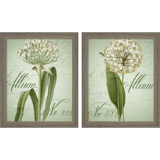 Allium by Color Bakery, 2 Piece Rustic Gray Framed Art Set