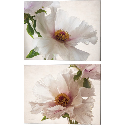 Translucent Peony by Debra Van Swearingen, 2 Piece Canvas Art Set