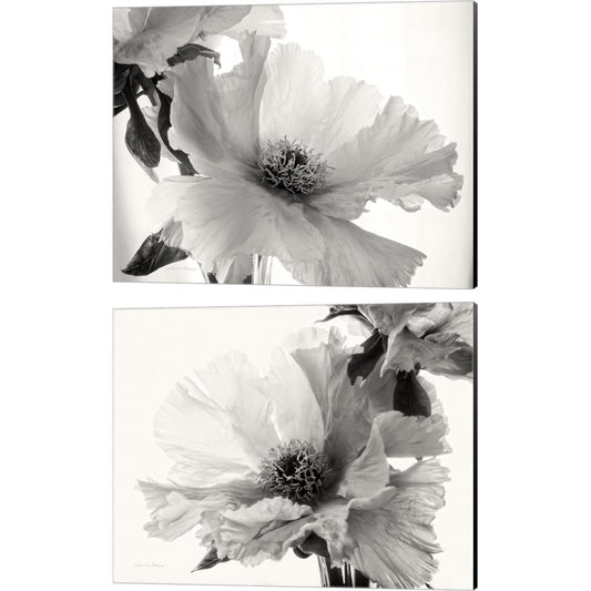 Translucent Peony BW by Debra Van Swearingen, 2 Piece Canvas Art Set